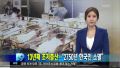 2026년 1월 5일 (월) 19:11 판의 섬네일