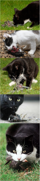 파일:D0070162 4d8c26bc55682.png