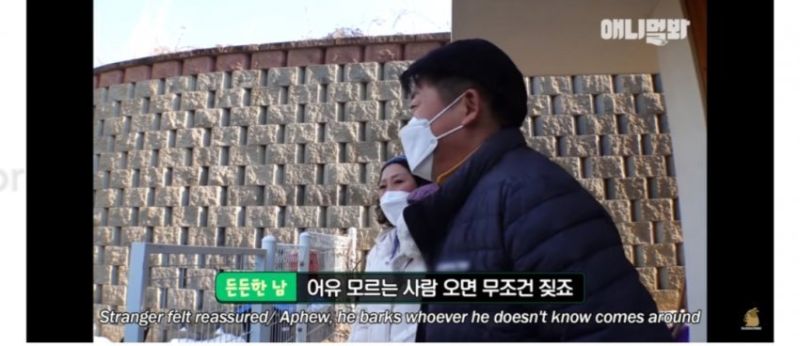 파일:동물농장 자막 근황.jpg