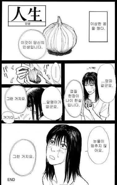 파일:양파인생.jpg