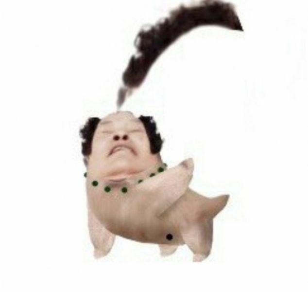 파일:할코리타.jpg