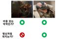 2026년 1월 5일 (월) 19:14 판의 섬네일