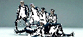 2026년 1월 5일 (월) 19:11 판의 섬네일