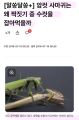2026년 1월 26일 (월) 03:27 판의 섬네일