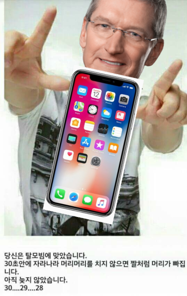 파일:팀쿡탈모빔.png