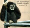 2026년 1월 5일 (월) 19:14 판의 섬네일