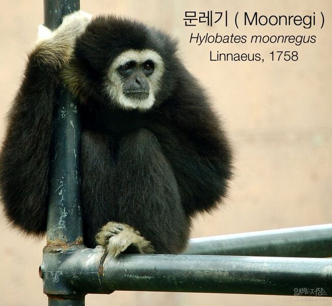 파일:공간좌표문레기.jpeg
