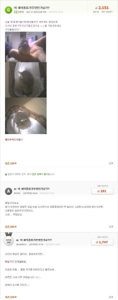 파일:1290999400 dw.jpg
