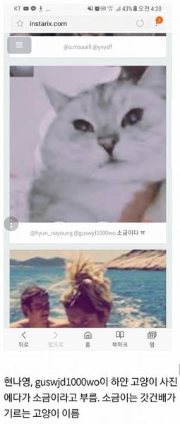 파일:건배15.jpg