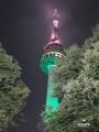 2026년 1월 5일 (월) 19:10 판의 섬네일