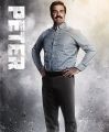 2026년 1월 5일 (월) 19:08 판의 섬네일
