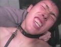 2026년 1월 5일 (월) 19:07 판의 섬네일