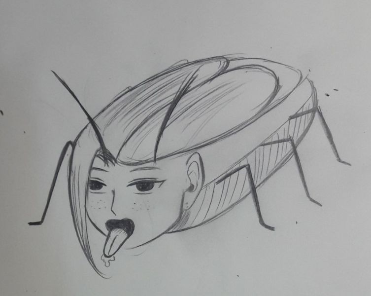 파일:라퀴벌레.jpg