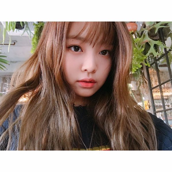파일:블핑제니.jpg