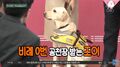 2026년 1월 5일 (월) 19:14 판의 섬네일