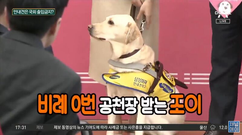 파일:비례0번.jpg