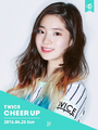 2026년 1월 5일 (월) 19:23 판의 섬네일