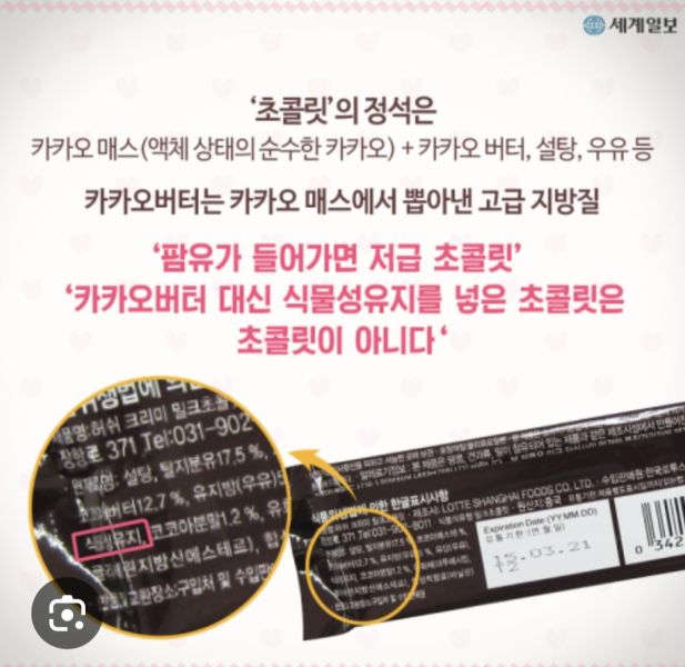 파일:팜유초콜릿2.jpeg