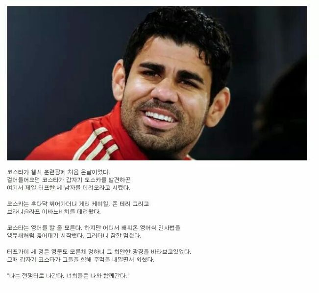 파일:8a82cd70c2cc6b4858022c738922e818.jpg