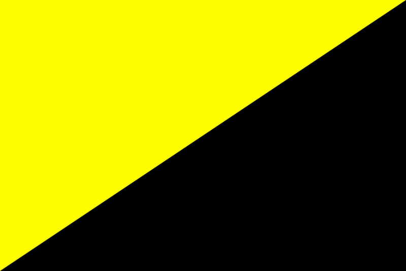 파일:900px-Ancapflagpng.png
