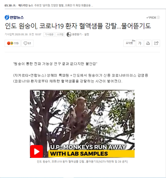 파일:인도원숭이 우한 폐렴 혈액샘플 강탈.png