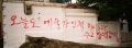 2026년 1월 5일 (월) 19:08 판의 섬네일