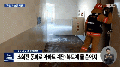 2026년 1월 5일 (월) 19:14 판의 섬네일