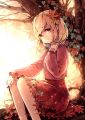 2026년 1월 5일 (월) 19:14 판의 섬네일