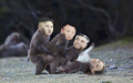 2026년 1월 5일 (월) 19:13 판의 섬네일