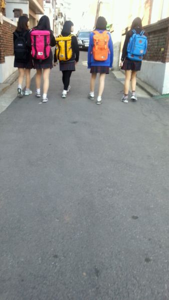 파일:길막충.jpg