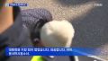 2026년 1월 5일 (월) 19:20 판의 섬네일