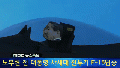 2026년 1월 5일 (월) 19:08 판의 섬네일