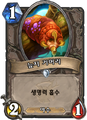 2026년 1월 5일 (월) 19:14 판의 섬네일