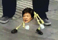 2026년 1월 5일 (월) 19:10 판의 섬네일