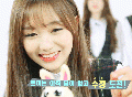 2026년 1월 5일 (월) 19:07 판의 섬네일