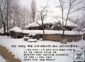 2026년 1월 5일 (월) 19:15 판의 섬네일