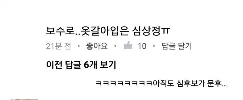 파일:보수가된심상정.jpg