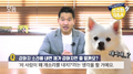 2026년 1월 5일 (월) 19:10 판의 섬네일