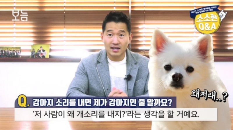 파일:갓형욱멍멍이.png