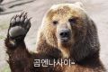 2026년 1월 5일 (월) 19:19 판의 섬네일