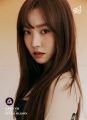 2026년 1월 5일 (월) 19:19 판의 섬네일