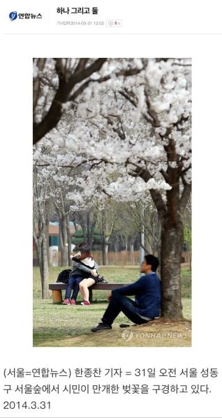 파일:흔한솔로.jpg