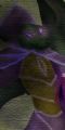 2026년 1월 5일 (월) 19:17 판의 섬네일