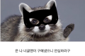 2026년 1월 5일 (월) 19:21 판의 섬네일