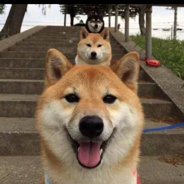 파일:20170511 221256.png