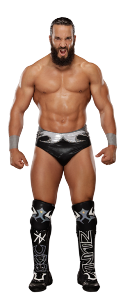 파일:Tony Nese stat--f737fcca8b192312218705149eedcc6a.png