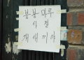 2026년 1월 5일 (월) 19:22 판의 섬네일