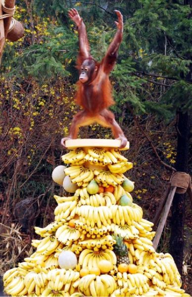 파일:오랑8.jpg