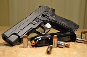 P226(1).JPG