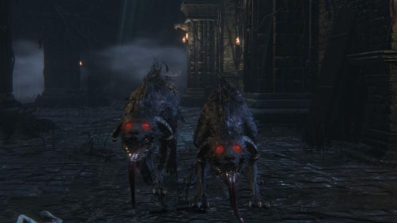 파일:Keepers hunting dog.jpg